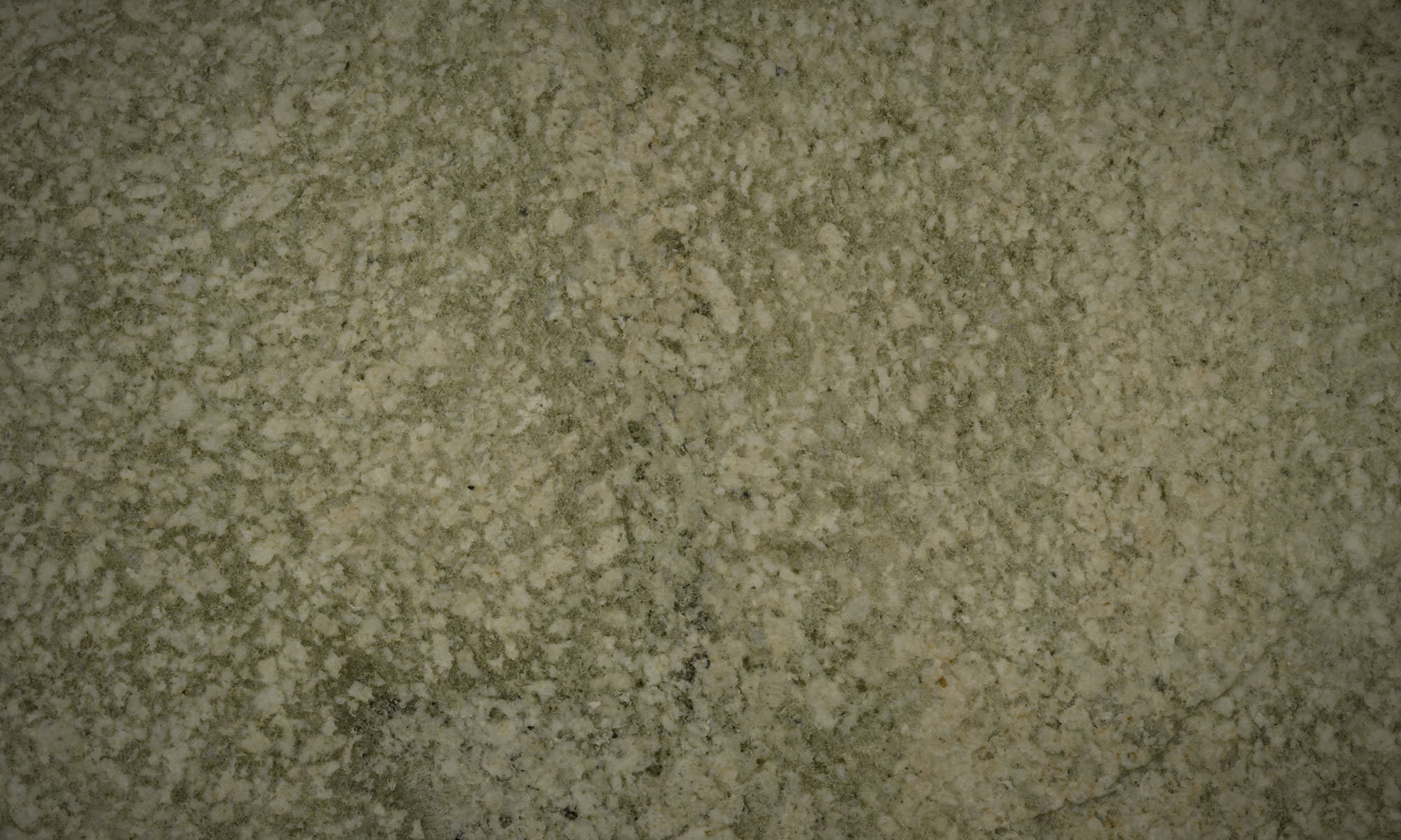Coast Green Satin mini