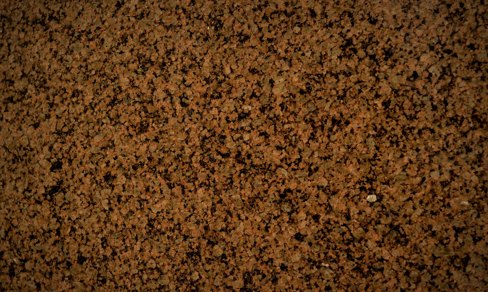 Tropic Brown mini
